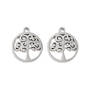 316 Surgical Stainless Steel Charms STAS-C096-11B-P-1