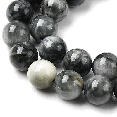 Natural Eagle Eye Stone Beads Strands G-G344-A05-8mm-1
