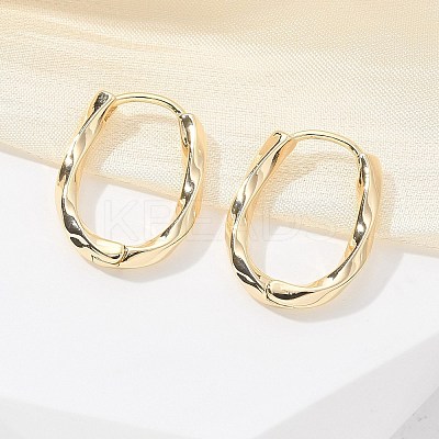 Brass Twist Hoop Earrings EJEW-Q014-02G-1