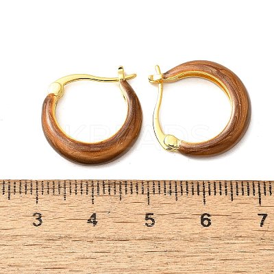 Brass Enamel Hoop Earrings EJEW-B120-01G-06-1