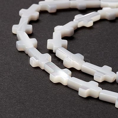 Natural Trochid Shell/Trochus Shell Beads SSHEL-O0001-22A-1