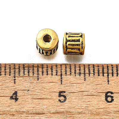 Tibetan Style Alloy Beads GLF10149Y-NF-1