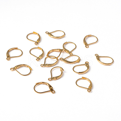 Brass Leverback Earring Findings EC223-G-1