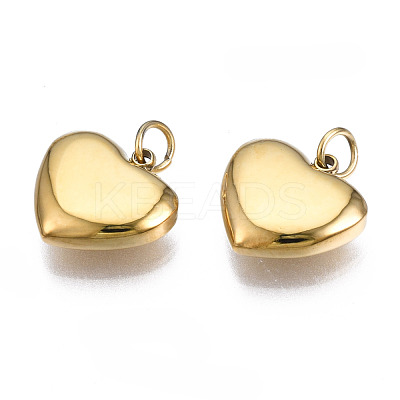 316 Surgical Stainless Steel Charms STAS-N097-045-1