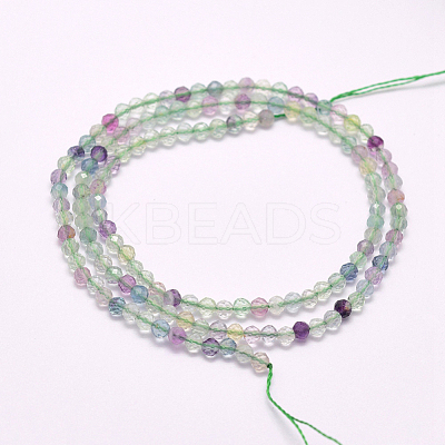 Natural Fluorite Beads Strands G-F596-32-2mm-1