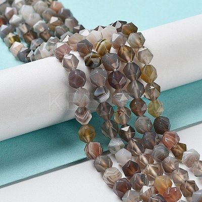 Natural Botswana Agate Beads Strands G-NH0002-C01-01-1
