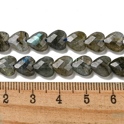 Natural Labradorite Beads Strands G-P544-E01-01-1
