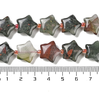 Natural African Bloodstone Beads Strands G-NH0005-003-1