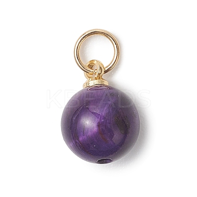Dyed Natural Tiger Eye Round Charms PALLOY-JF04979-1