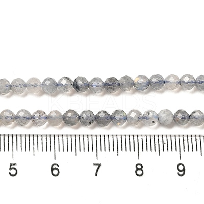Natural Rainbow Moonstone Beads Strands LS-G-R475-025D-1