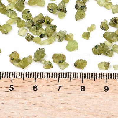 Natural Peridot Beads X-G-D363-A01-1