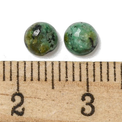 Natural African Turquoise(Jasper) Cabochons G-Q173-01B-05-1