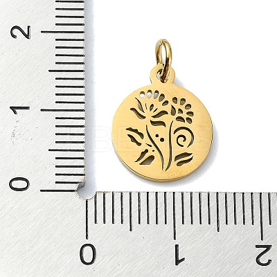 304 Stainless Steel Charms STAS-C097-46G-06-1