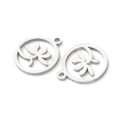 304 Stainless Steel Charms LS-STAS-D202-05P-1