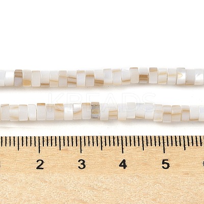 Natural Freshwater Shell Beads Strands SSHEL-C013-04A-1