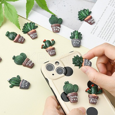 30Pcs 6 Styles Opaque Resin Plants Cabochons CRES-CJ0001-55-1