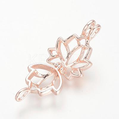 Alloy Diffuser Locket Pendants PALLOY-S062-40RG-1