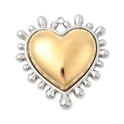 304 Stainless Steel Big Pendants STAS-H250-01GP-01-1