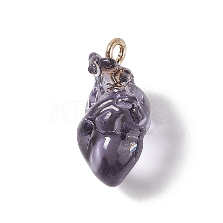 Transparent Resin Pendants RESI-E028-01G-08-1