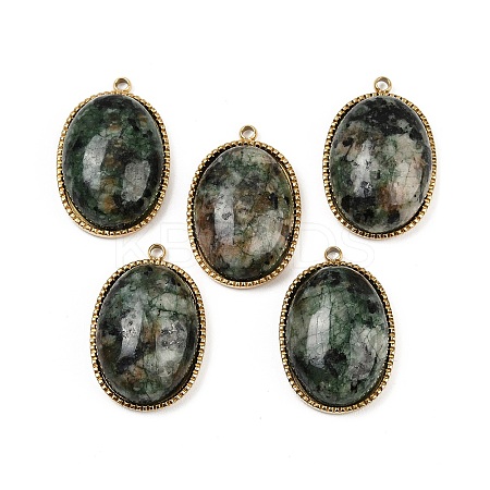 Natural African Turquoise(Jasper) Pendants STAS-F322-15G-04-1
