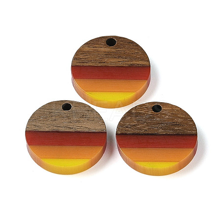 Pride Rainbow Theme Resin & Walnut Wood Pendants WOOD-K012-07A-1