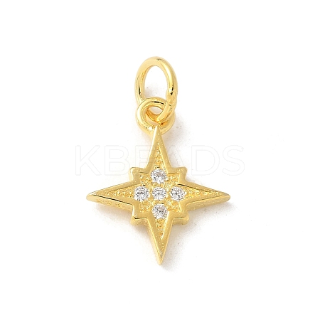 S925 Sterling Silver Micro Pave Cubic Zirconia Pendant STER-H115-02B-G-1