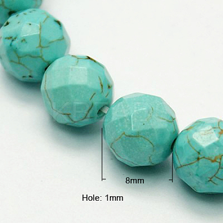 Natural Howlite Beads Strands TURQ-P027-44-1