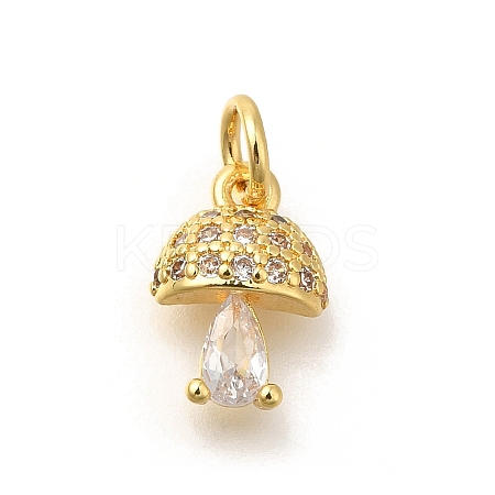 Brass Micro Pave Cubic Zirconia Charms KK-M295-21G-1
