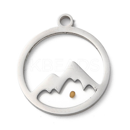 Non-Tarnish 201 Stainless Steel Pendants STAS-D041-17P-1