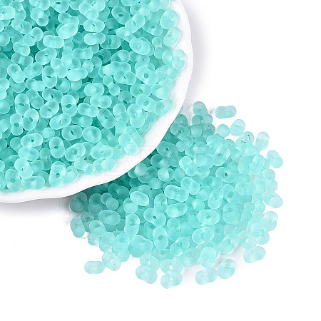 FGB Frosted Transparent Glass Seed Beads SEED-N013-06A-10-1
