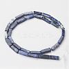 Natural Sodalite Beads Strands G-G968-D02-2