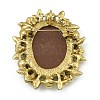 Alloy Rhinestone Brooch for Clothes Backpack JEWB-Q030-52AG-2