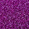 MIYUKI Delica Beads X-SEED-J020-DB1340-3
