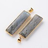 Faceted Rectangle Natural Labradorite Pendants G-M294-08-2