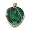 Natural Malachite Pendants G-K335-04G-11-3
