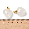 Natural Quartz Crystal Perfume Bottle Pendants G-Z039-03G-01-3