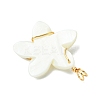 Natural Carved Freshwater Shell Pendants PALLOY-JF03390-4