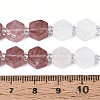 Natural Strawberry Quartz & Rainbow Moonstone & Green Aventurine Beads Strands G-T144-17B-02-5