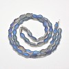 Frosted Electroplate Glass Fish Beads Strands X-EGLA-M001-D04-2