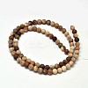 Frosted Natural Petrified Wood Round Bead Strands G-F266-07-12mm-2