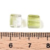 Baking Paint Transparent Glass Beads X1-DGLA-N005-01A-06-4