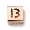 Ion Plating(IP) 304 Stainless Steel Square Slide Charms STAS-L132-12B-RG-1