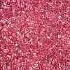 6/0 Transparent Inside Colours Glass Seed Beads SEED-N006-003K-3