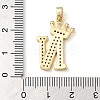 Rack Plating Brass Micro Pave Cubic Zirconia Pendants KK-D535-01N-RS-3