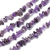 Natural Amethyst Chip Beads Strands G-YW0002-09-1