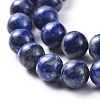 Natural Lapis Lazuli Round Beads Strands X-G-I181-09-8mm-3