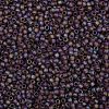 TOHO 8/0 Round Beads SEED-TR08-0166BF-2