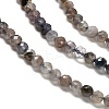 Natural Iolite Beads Strands G-RM2025-22-3mm-4