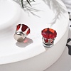 Cubic Zirconia Clip-on Earrings EJEW-L100-01P-09-3