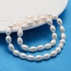 Natural Cultured Freshwater Pearl Beads Strands LS-PEAR-L001-15-2